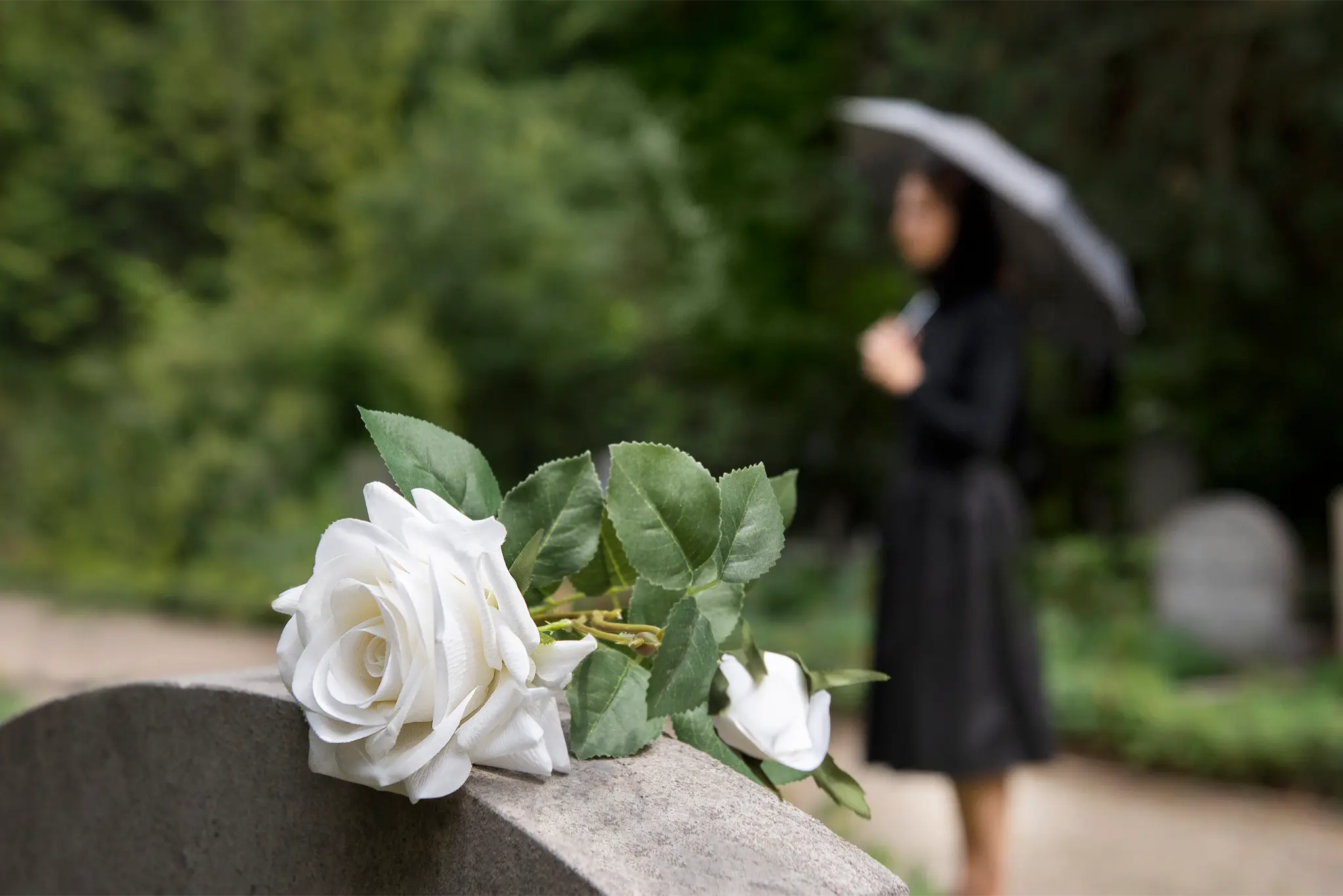 Platinum gastos funerales